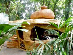 Arquitectura organica integrada en la selva